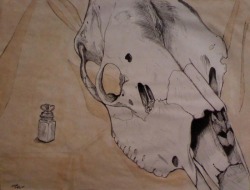 Skull Joy